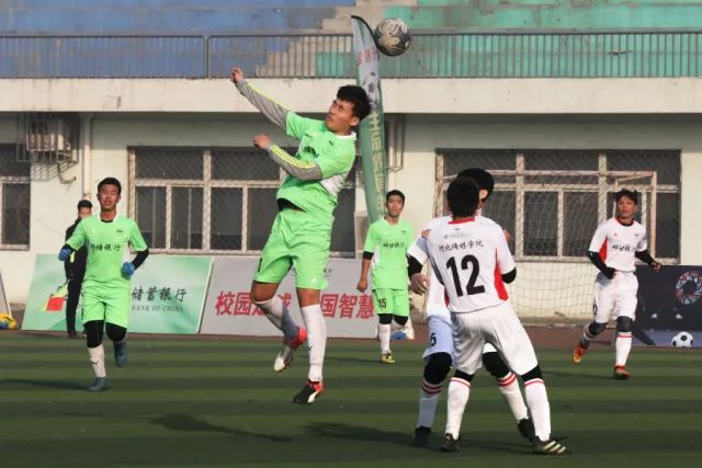 岛内立法机构新一届委员会召委选举结果出炉